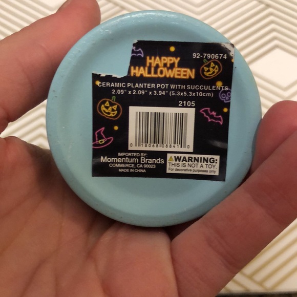 Jack-o’-lantern Pumpkin Faux Succulent Ombré Ceramic Pot Table Top Decor Accent - Picture 4 of 6